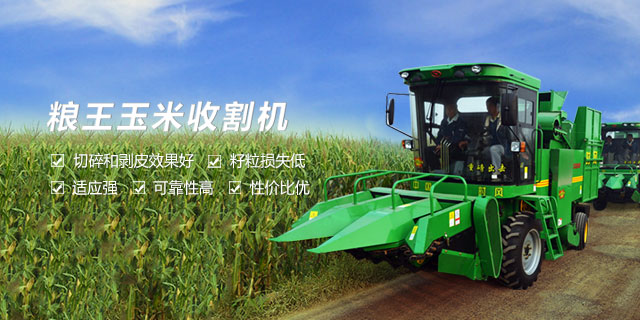 時(shí)風(fēng)時(shí)風(fēng)  路路暢通